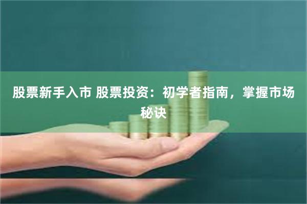 股票新手入市 股票投资：初学者指南，掌握市场秘诀