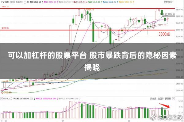 可以加杠杆的股票平台 股市暴跌背后的隐秘因素揭晓