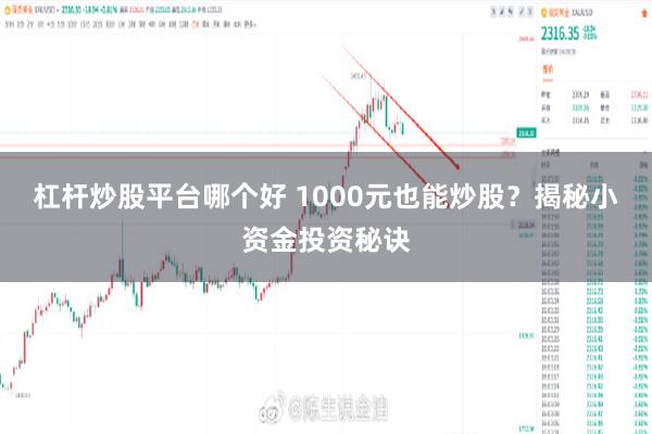杠杆炒股平台哪个好 1000元也能炒股？揭秘小资金投资秘诀