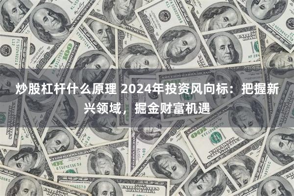 炒股杠杆什么原理 2024年投资风向标：把握新兴领域，掘金财富机遇