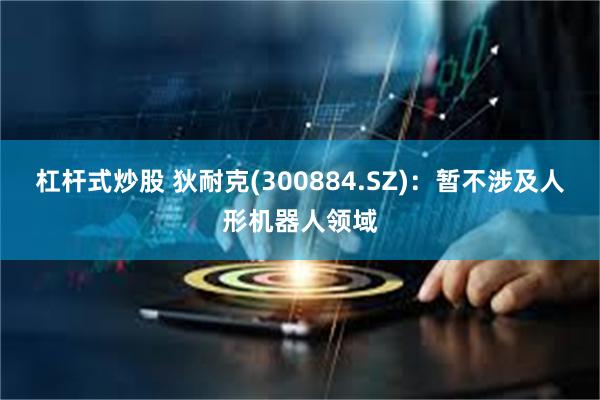 杠杆式炒股 狄耐克(300884.SZ)：暂不涉及人形机器人领域