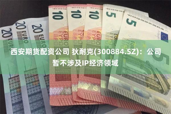 西安期货配资公司 狄耐克(300884.SZ)：公司暂不涉及IP经济领域