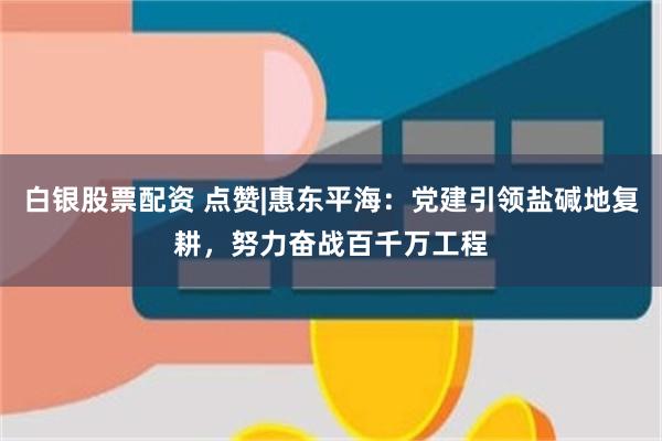 白银股票配资 点赞|惠东平海：党建引领盐碱地复耕，努力奋战百千万工程
