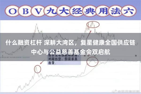 什么融资杠杆 深耕大湾区，复星健康全国供应链中心与公益慈善基金会双启航