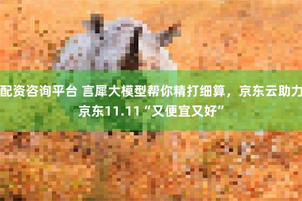 配资咨询平台 言犀大模型帮你精打细算，京东云助力京东11.11“又便宜又好”