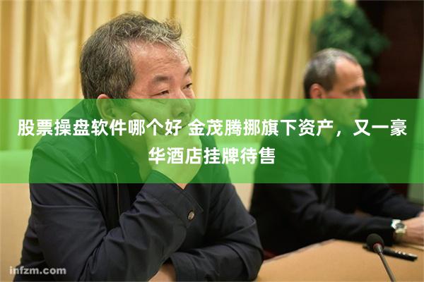 股票操盘软件哪个好 金茂腾挪旗下资产，又一豪华酒店挂牌待售