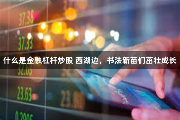 什么是金融杠杆炒股 西湖边，书法新苗们茁壮成长