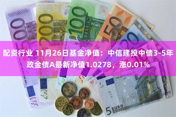 配资行业 11月26日基金净值：中信建投中债3-5年政金债A最新净值1.0278，涨0.01%