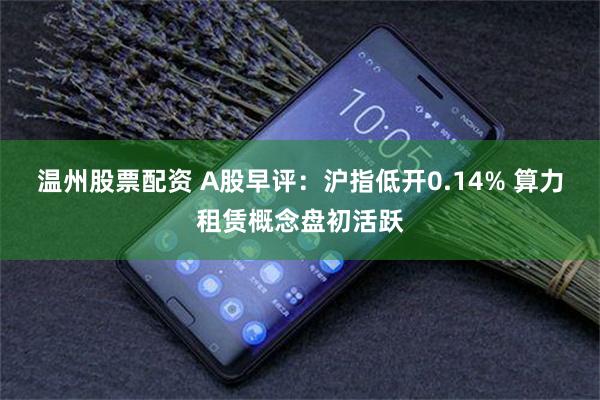 温州股票配资 A股早评：沪指低开0.14% 算力租赁概念盘初活跃