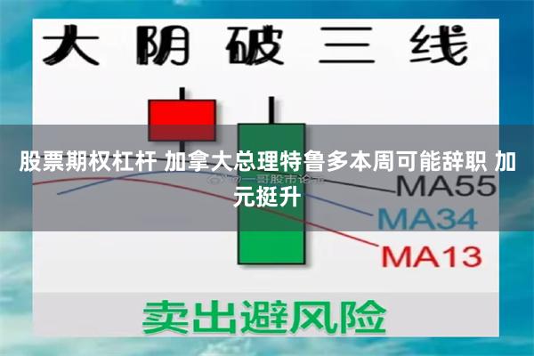 股票期权杠杆 加拿大总理特鲁多本周可能辞职 加元挺升