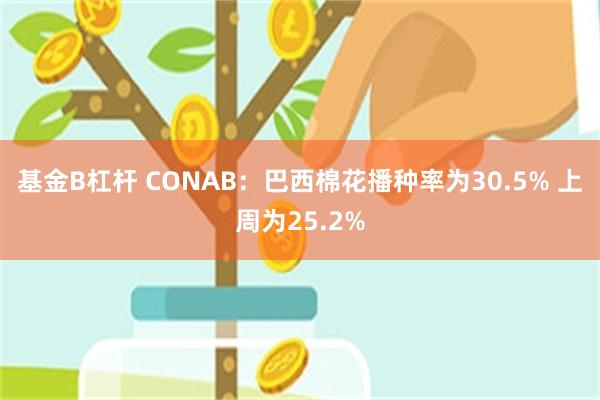 基金B杠杆 CONAB：巴西棉花播种率为30.5% 上周为25.2%