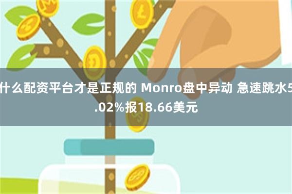 什么配资平台才是正规的 Monro盘中异动 急速跳水5.02%报18.66美元