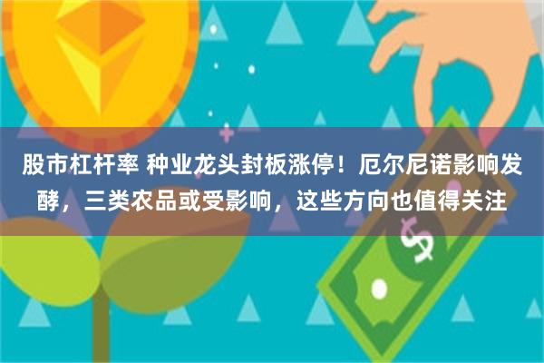 股市杠杆率 种业龙头封板涨停！厄尔尼诺影响发酵，三类农品或受影响，这些方向也值得关注
