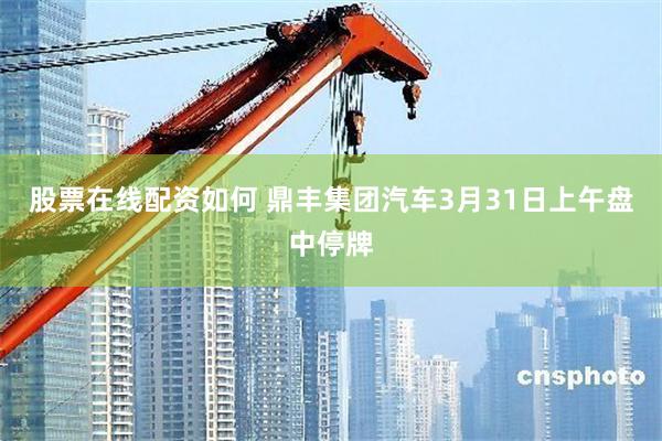 股票在线配资如何 鼎丰集团汽车3月31日上午盘中停牌