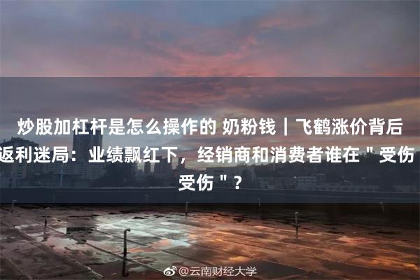 炒股加杠杆是怎么操作的 奶粉钱｜飞鹤涨价背后的返利迷局：业绩飘红下，经销商和消费者谁在＂受伤＂？