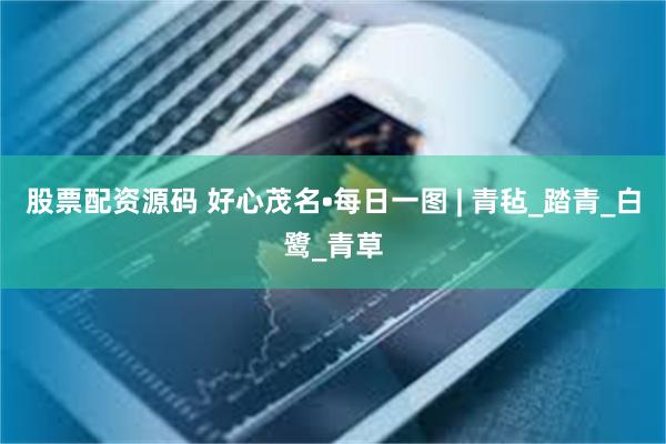 股票配资源码 好心茂名•每日一图 | 青毡_踏青_白鹭_青草
