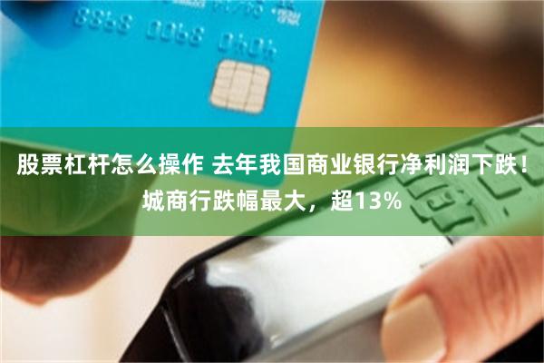 股票杠杆怎么操作 去年我国商业银行净利润下跌！城商行跌幅最大，超13%