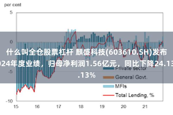 什么叫全仓股票杠杆 麒盛科技(603610.SH)发布2024年度业绩，归母净利润1.56亿元，同比下降24.13%