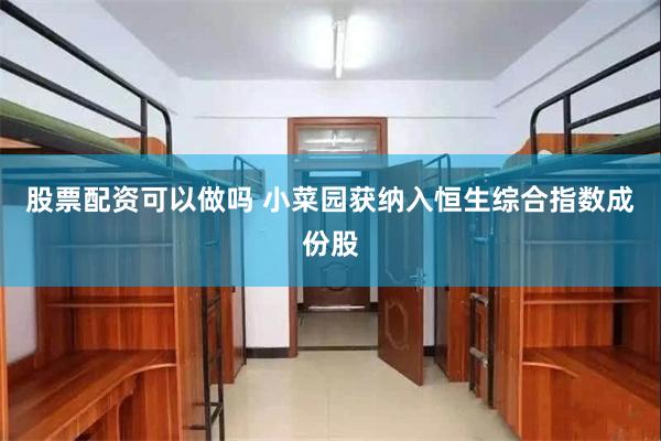 股票配资可以做吗 小菜园获纳入恒生综合指数成份股