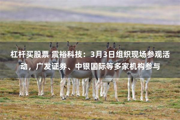 杠杆买股票 震裕科技：3月3日组织现场参观活动，广发证券、中银国际等多家机构参与