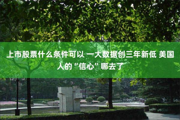 上市股票什么条件可以 一大数据创三年新低 美国人的“信心”哪去了