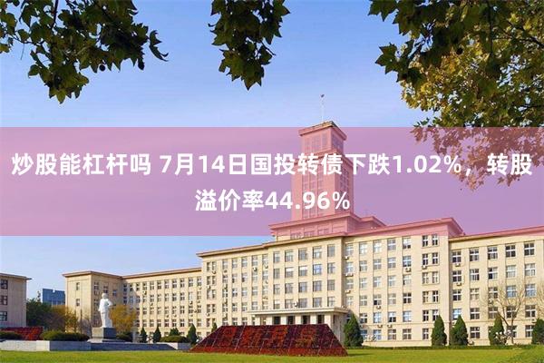 炒股能杠杆吗 7月14日国投转债下跌1.02%，转股溢价率44.96%