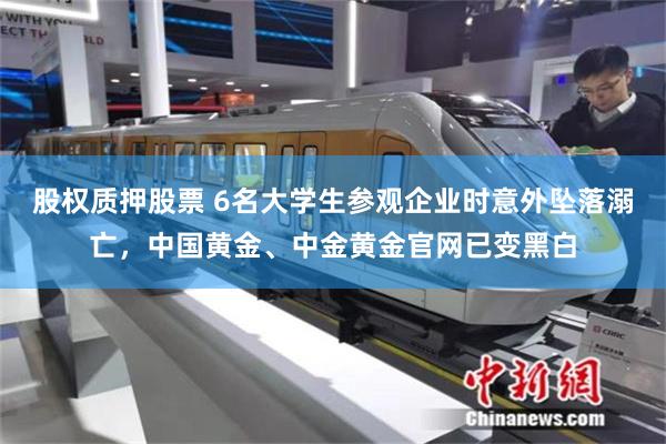 股权质押股票 6名大学生参观企业时意外坠落溺亡，中国黄金、中金黄金官网已变黑白