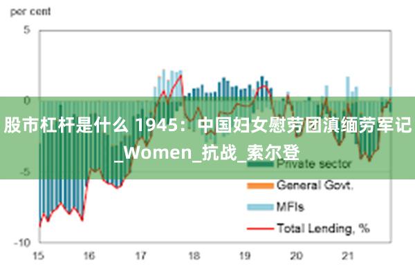 股市杠杆是什么 1945：中国妇女慰劳团滇缅劳军记_Women_抗战_索尔登
