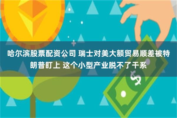哈尔滨股票配资公司 瑞士对美大额贸易顺差被特朗普盯上 这个小型产业脱不了干系