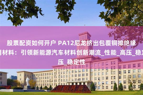 股票配资如何开户 PA12尼龙挤出包覆铜排绝缘专用材料：引领新能源汽车材料创新潮流_性能_高压_稳定性
