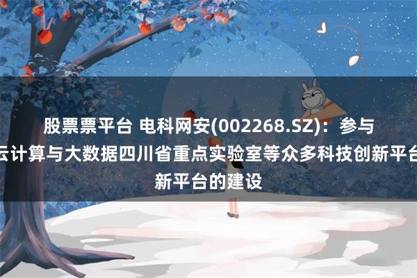 股票票平台 电科网安(002268.SZ)：参与了可信云计算与大数据四川省重点实验室等众多科技创新平台的建设