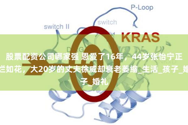 股票配资公司哪家强 恩爱了16年，44岁张怡宁正绚烂如花，大20岁的丈夫徐威却衰老萎缩_生活_孩子_婚礼