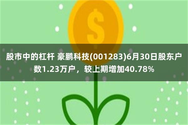 股市中的杠杆 豪鹏科技(001283)6月30日股东户数1.23万户，较上期增加40.78%