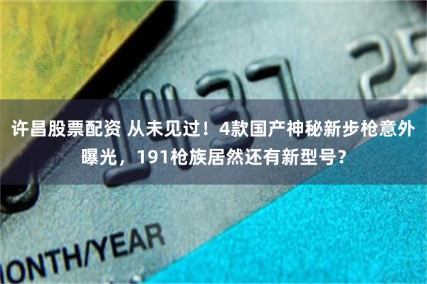 许昌股票配资 从未见过！4款国产神秘新步枪意外曝光，191枪族居然还有新型号？