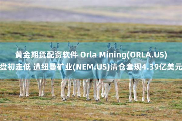 黄金期货配资软件 Orla Mining(ORLA.US)盘初走低 遭纽曼矿业(NEM.US)清仓套现4.39亿美元
