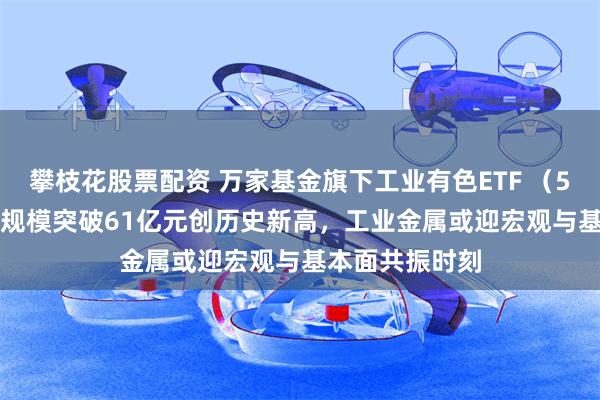 攀枝花股票配资 万家基金旗下工业有色ETF (560860)最新规模突破61亿元创历史新高,工业金属或迎宏观与基本面共振时刻