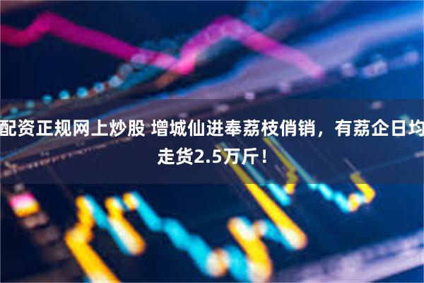 配资正规网上炒股 增城仙进奉荔枝俏销，有荔企日均走货2.5万斤！