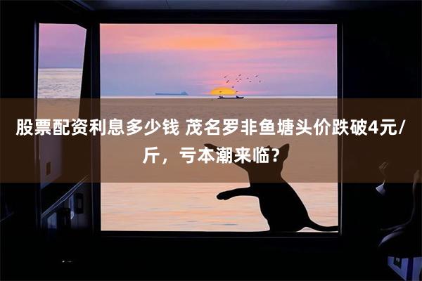 股票配资利息多少钱 茂名罗非鱼塘头价跌破4元/斤，亏本潮来临？