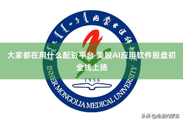 大家都在用什么配资平台 美股AI应用软件股盘初全线上扬