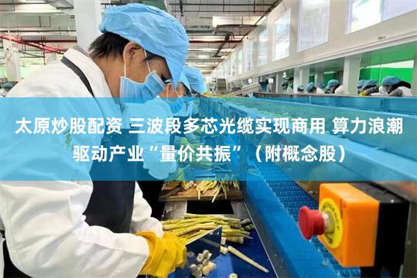 太原炒股配资 三波段多芯光缆实现商用 算力浪潮驱动产业“量价共振”（附概念股）