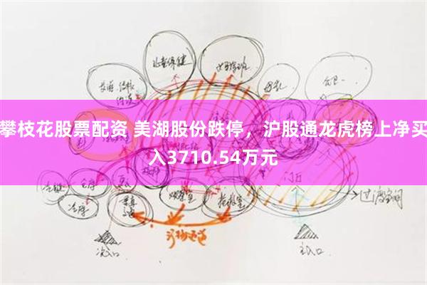 攀枝花股票配资 美湖股份跌停，沪股通龙虎榜上净买入3710.54万元