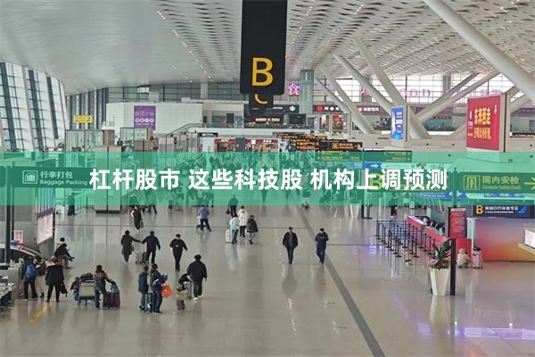 杠杆股市 这些科技股 机构上调预测