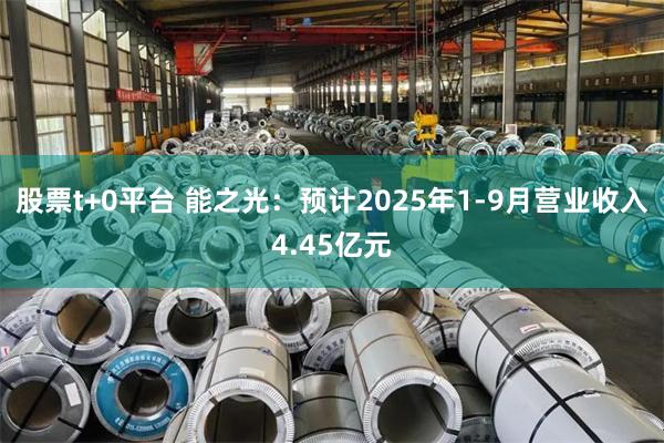 股票t+0平台 能之光：预计2025年1-9月营业收入4.45亿元