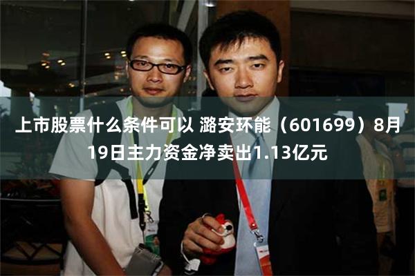 上市股票什么条件可以 潞安环能（601699）8月19日主力资金净卖出1.13亿元