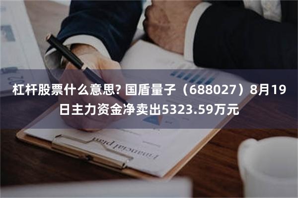 杠杆股票什么意思? 国盾量子（688027）8月19日主力资金净卖出5323.59万元