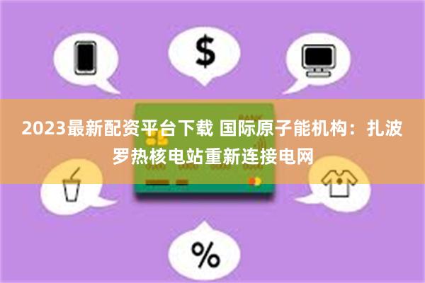 2023最新配资平台下载 国际原子能机构：扎波罗热核电站重新连接电网
