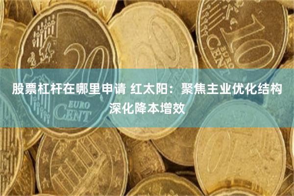 股票杠杆在哪里申请 红太阳：聚焦主业优化结构深化降本增效
