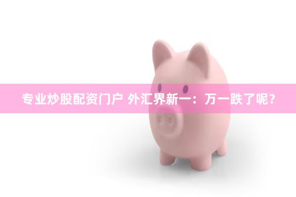 专业炒股配资门户 外汇界新一：万一跌了呢？
