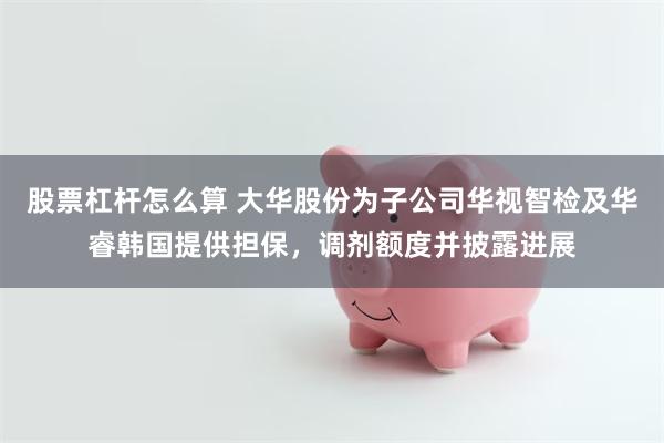 股票杠杆怎么算 大华股份为子公司华视智检及华睿韩国提供担保，调剂额度并披露进展