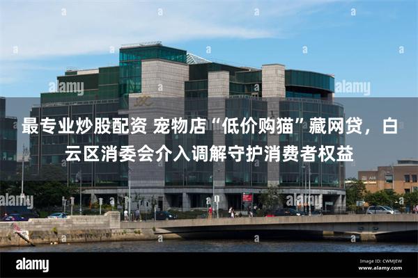 最专业炒股配资 宠物店“低价购猫”藏网贷，白云区消委会介入调解守护消费者权益